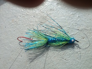 2012_sept-3-ron-jackie-gary-mike-wakita-9-landed-4-fly